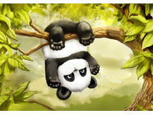 ��������� ����� 27*19 ag005 - 585 ���.