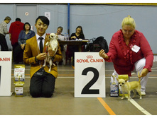 ���� ��������