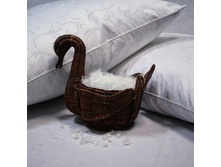 ������������ ��������.jpg