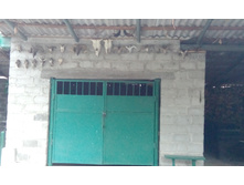 IMG 20151227 082808.jpg