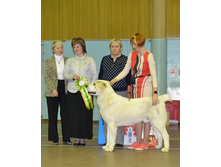 ������ ������ ��������