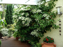 ��������� ����������2.jpg