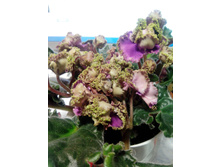 IMG 20151107 195336.jpg