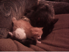 IMG 20151211 131449.jpg