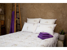 ������ �������� ����.jpg