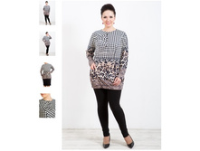 ����� 2523