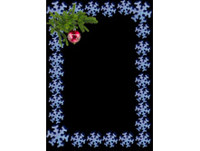 565c590ce9213 050172bf04938xl 1.jpg