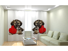 ������ � �������.jpg