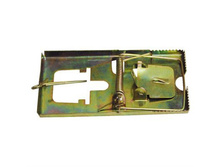 ��������� ������� ������������� 000006895