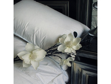 ��������� ����� ������.JPG