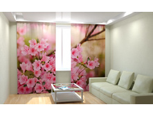 ������ �����.jpg