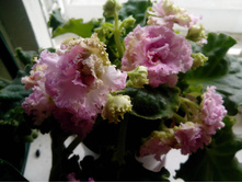 ��-�����