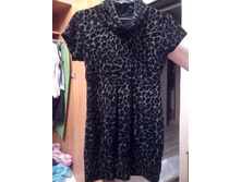 ������-������ �������� ����� � ��������� � 44