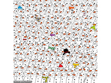 ����� �����.jpg