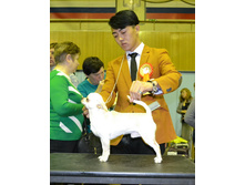 ���� ��������