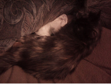 IMG 20151211 131203.jpg