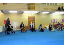 DSCN6098.JPG