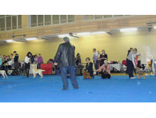 DSCN6197.JPG