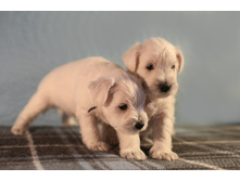 ��� �����4.JPG