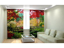 ���� � ����.jpg