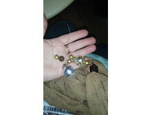 IMG 20151212 185841.jpg