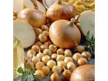 ����� (������ 14-21) 152���. �� 900�., 76���. �� 450� (� ������ ������ ���������� ������� �� 450�.).jpg