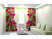 ��������� ����������.jpg