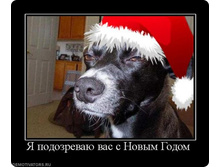 � ����������.jpg