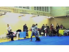 DSCN6034.JPG
