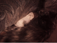 IMG 20151211 131210.jpg