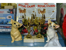 �������� ����