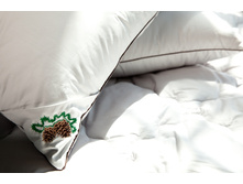 ������� �������� ���� ������.jpg