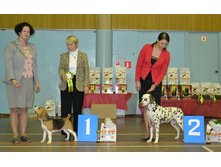 6 ������