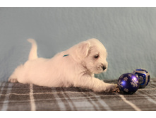 ��� �����3.JPG