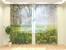 �������� � ����.jpg