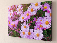 ������� ���.jpg