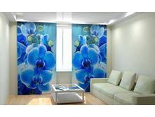 ������� �������.jpg