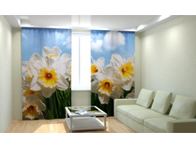 ����� ��������.jpg