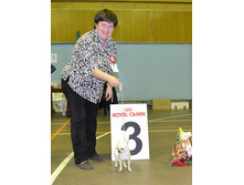 ���� ��������