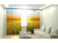 ����� (2).jpg