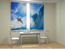 ������� ����.jpg