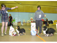 ���� �����