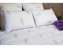 �������� ���� 2.jpg