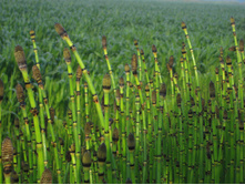 ���� ��������.110�