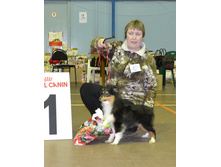 ���� �����