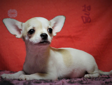 DSC07196.jpg