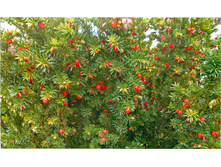 ���� �������.jpg