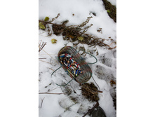 ������ ������� 2015-106.jpg