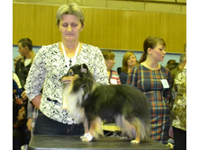 ���� �����