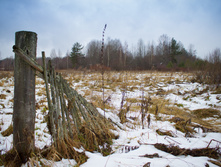 ������ ������� 2015-75.jpg